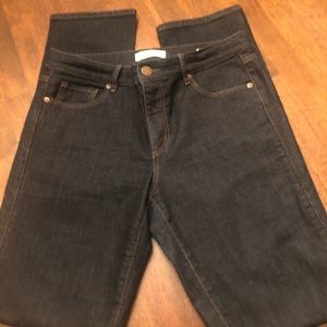 LOFT Skinny Jeans